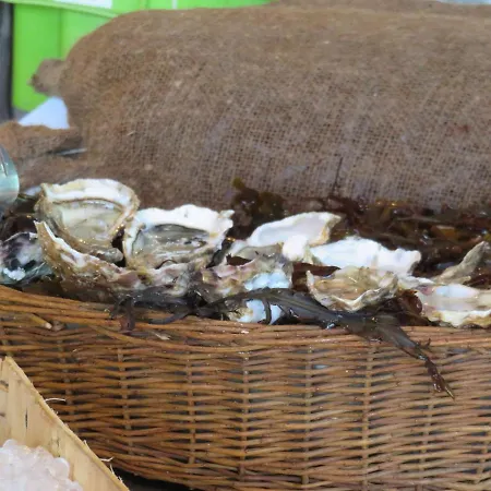 La Maison Du Bonheur Vakantiehuis *